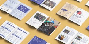Read more about the article Annual Report vs Integrated Report: What Companies Need to Know